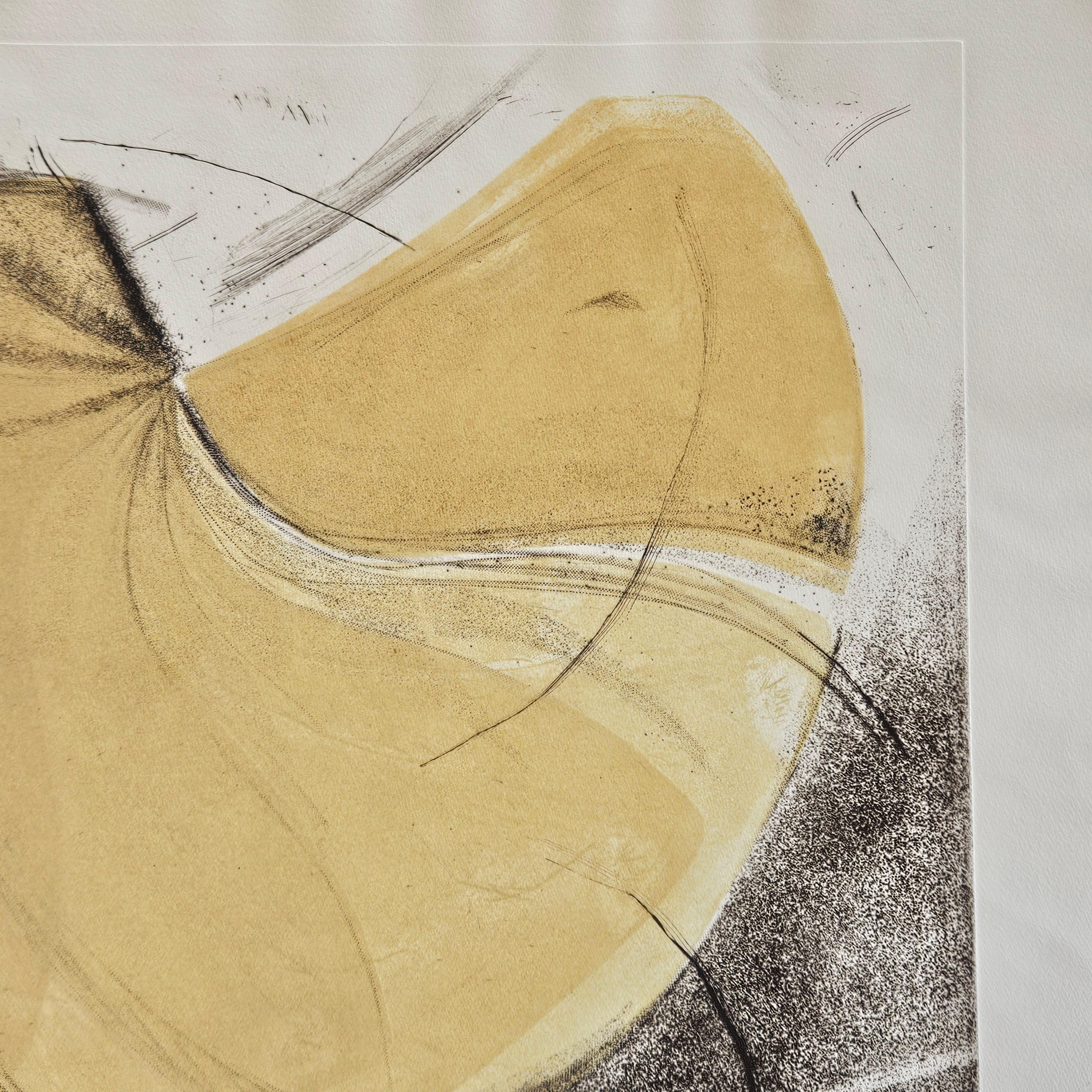 Farbradierung  Antonia Dombrowsky 2003 - Farbstich handgeschöpftes Bütten-Papier im Zustand „Gut“ im Angebot in Bussiere Dunoise, Nouvel Aquitaine