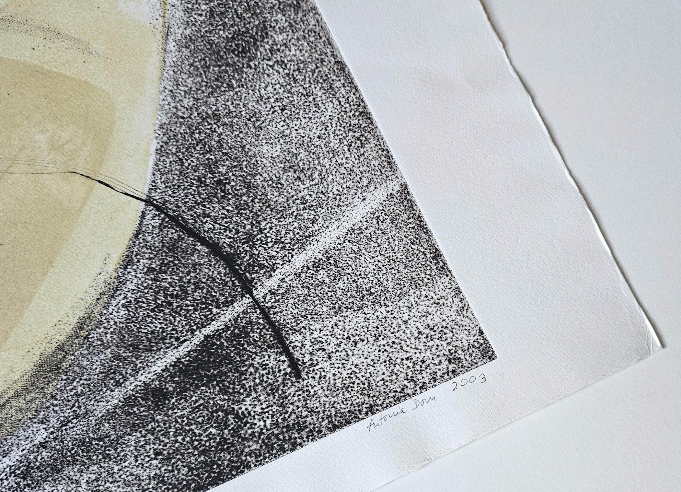 Farbradierung  Antonia Dombrowsky 2003 - Farbstich handgeschöpftes Bütten-Papier im Angebot 2