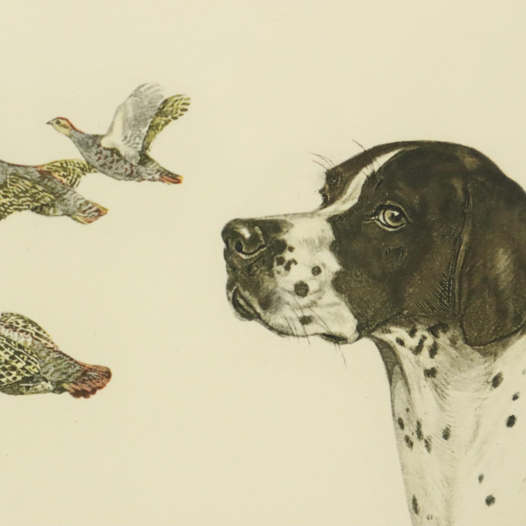 Farblithographien Boris Riab Jagdhund Signiert Kunst Paris im Angebot 5