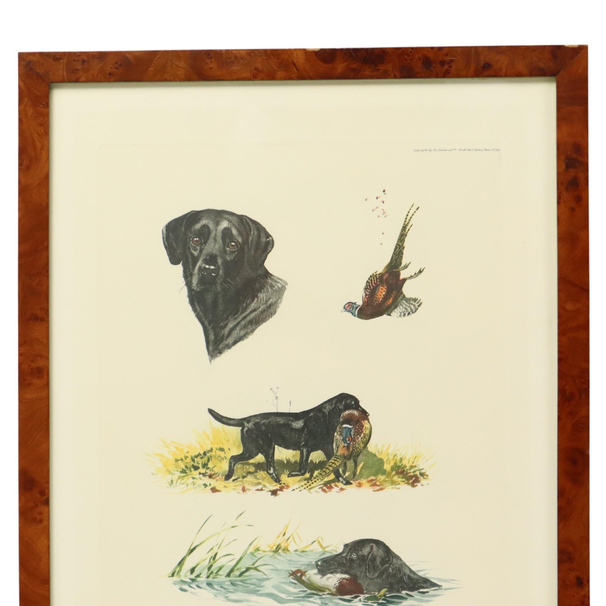 Schöner Satz von 2 Farblithographien, die Jagdhunde bei der Jagd auf ihre Beute darstellen, gerahmt in einem Wurzelholzrahmen mit Glas, von Boris Riab (Riabouchinsky 1898-1975), mit Bleistift signiert, zweite Hälfte des 20. Jahrhunderts. Copyright