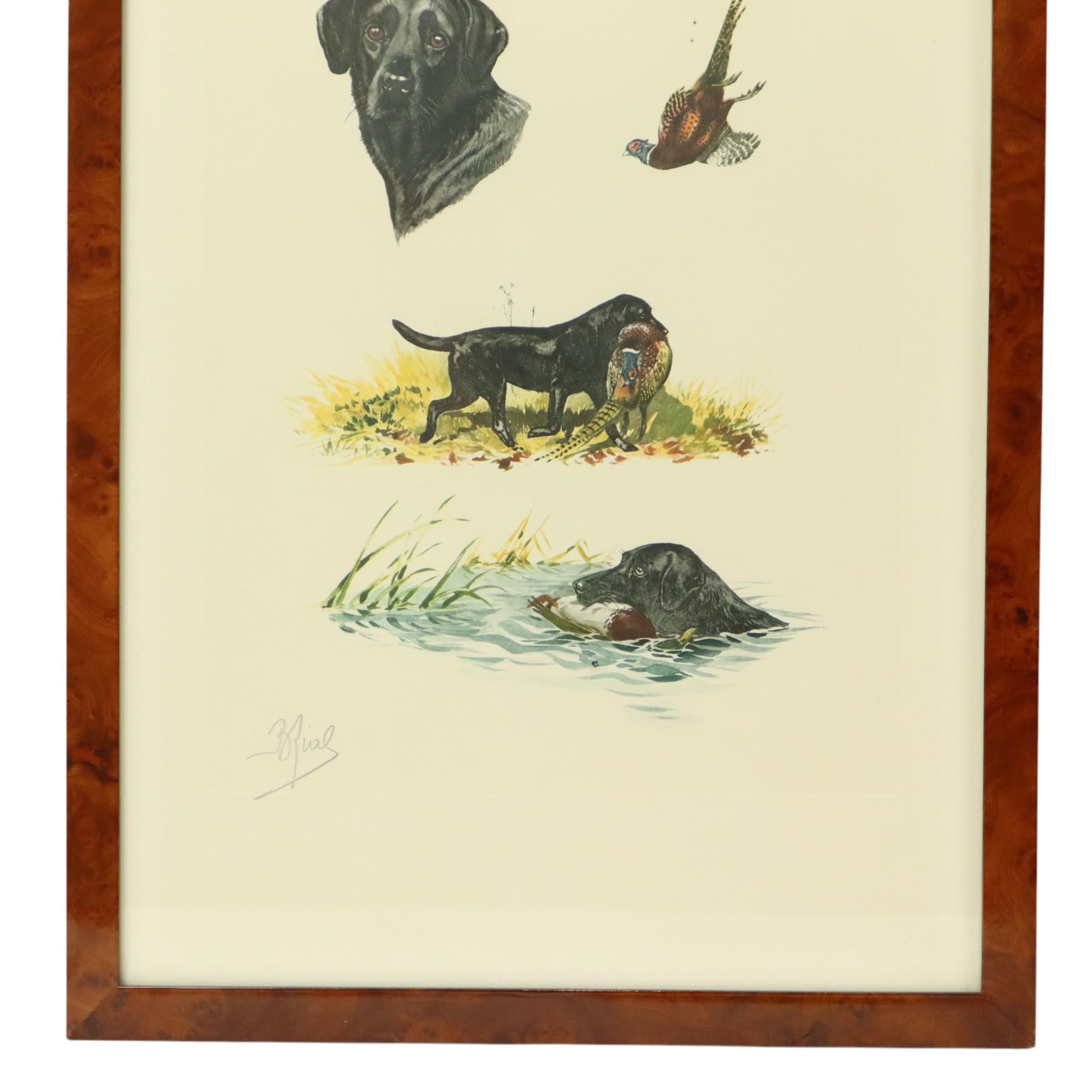 Farblithographien Boris Riab Jagdhund Signiert Kunst Paris (Französisch) im Angebot