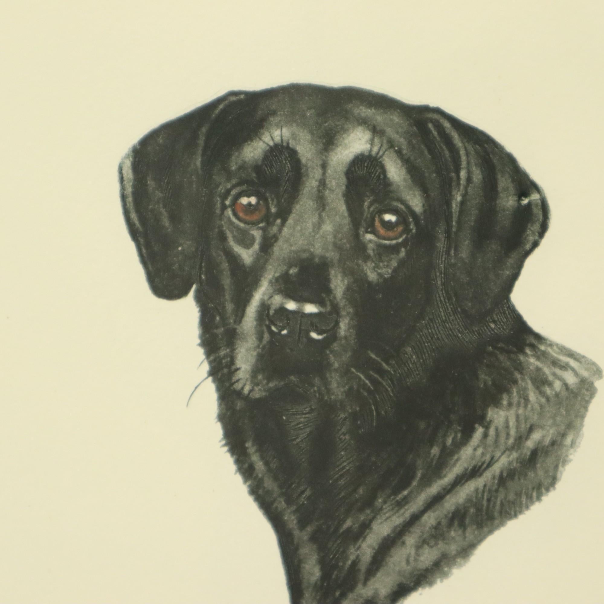 Farblithographien Boris Riab Jagdhund Signiert Kunst Paris im Angebot 2