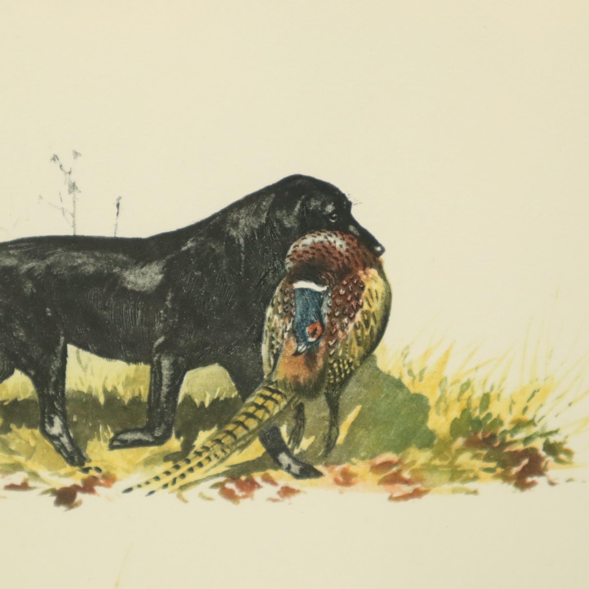 Farblithographien Boris Riab Jagdhund Signiert Kunst Paris im Angebot 3