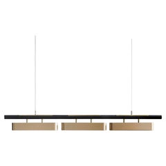 Colt Pendant Light Triple by Bert Frank