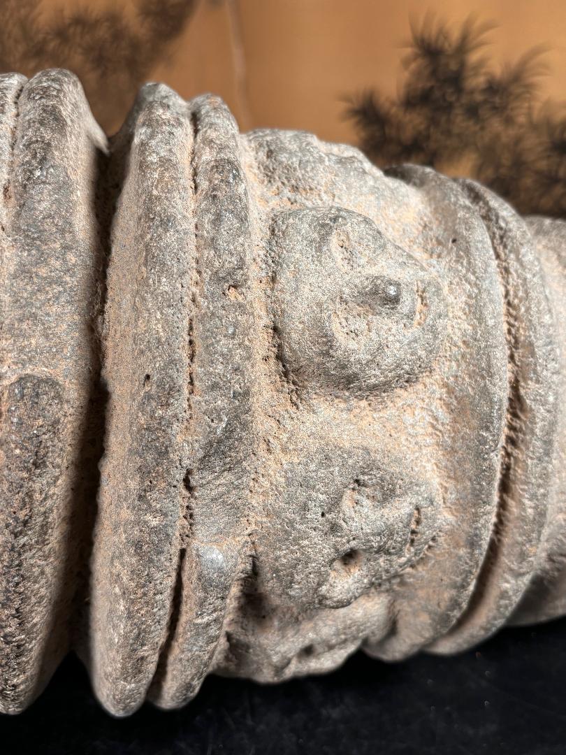 Río Columbia Masivo  Mortero Ceremonial de Piedra Tallada Pre Contacto Nueve Efigies en venta 10