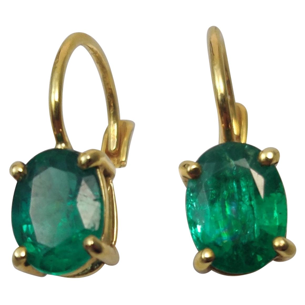 Columbian Emerald Earrings in 18 K Gold