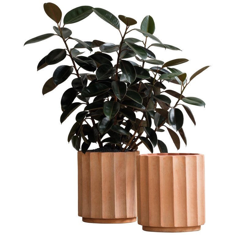 Column Planter Small by Billy Cotton in Terracotta For Sale