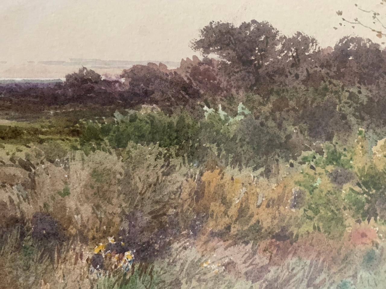 Landschaft einer Ebene in Aquarell auf Papier. Dieses Gemälde in warmen Farben zeigt eine baumartige Vegetation, die sich im Rhythmus des Windes zu bewegen scheint. 

Entworfen von dem französischen Maler Louis Alphonse Combe-Velluet (1842-1902).