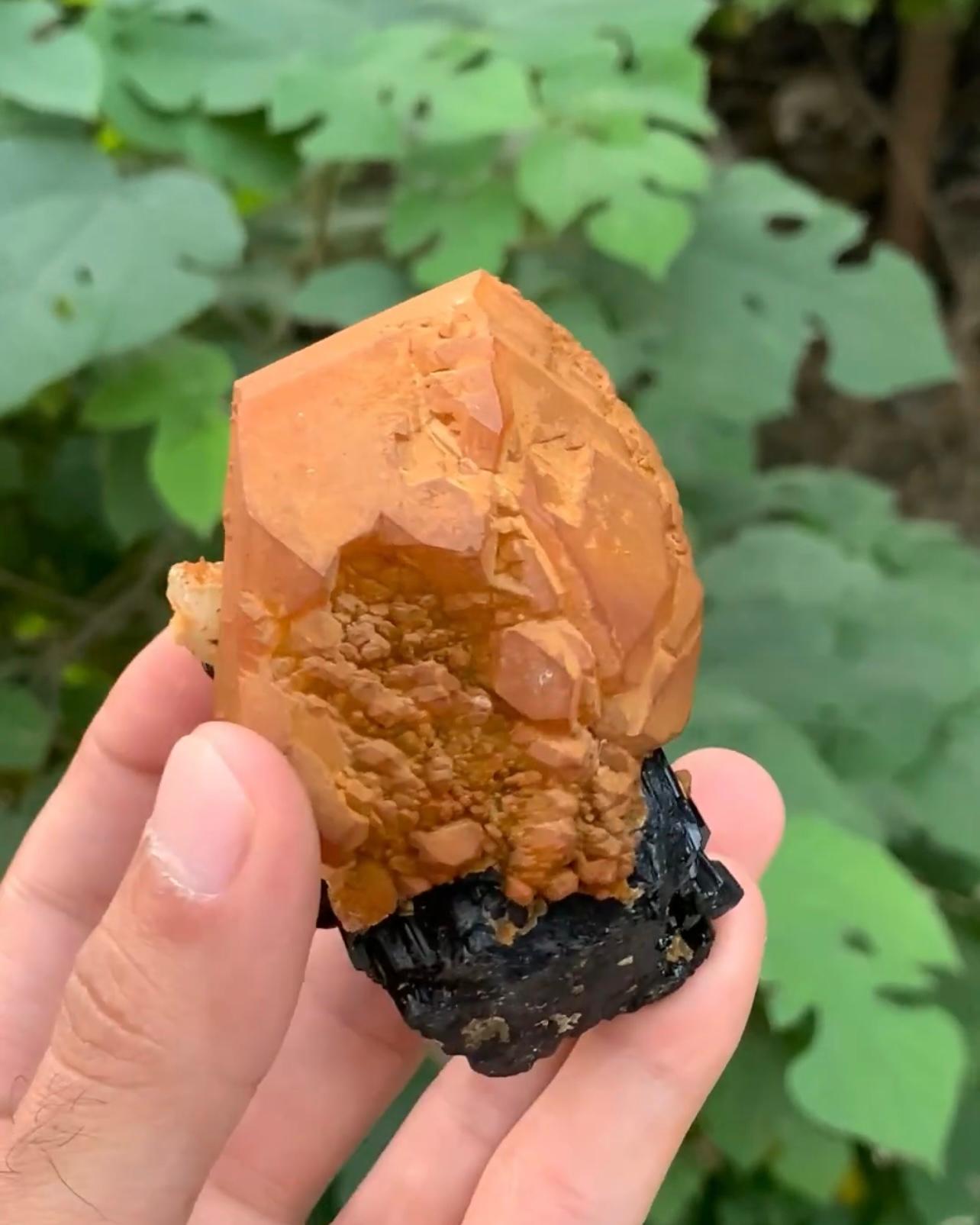 Modern Combination Specimen Of Quartz On Schorl With Garnet Crystals From Pakistan For Sale