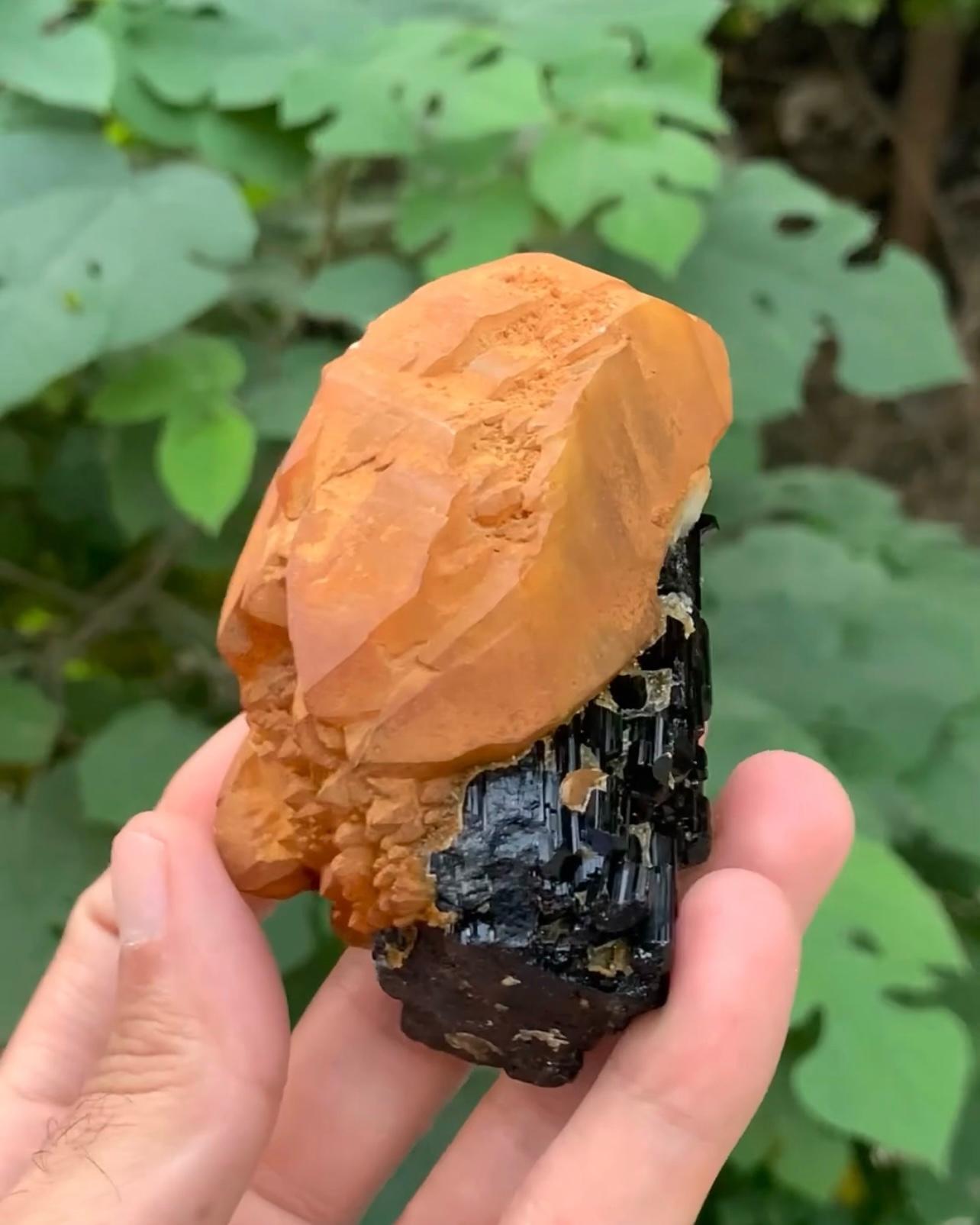 Pakistani Combination Specimen Of Quartz On Schorl With Garnet Crystals From Pakistan For Sale