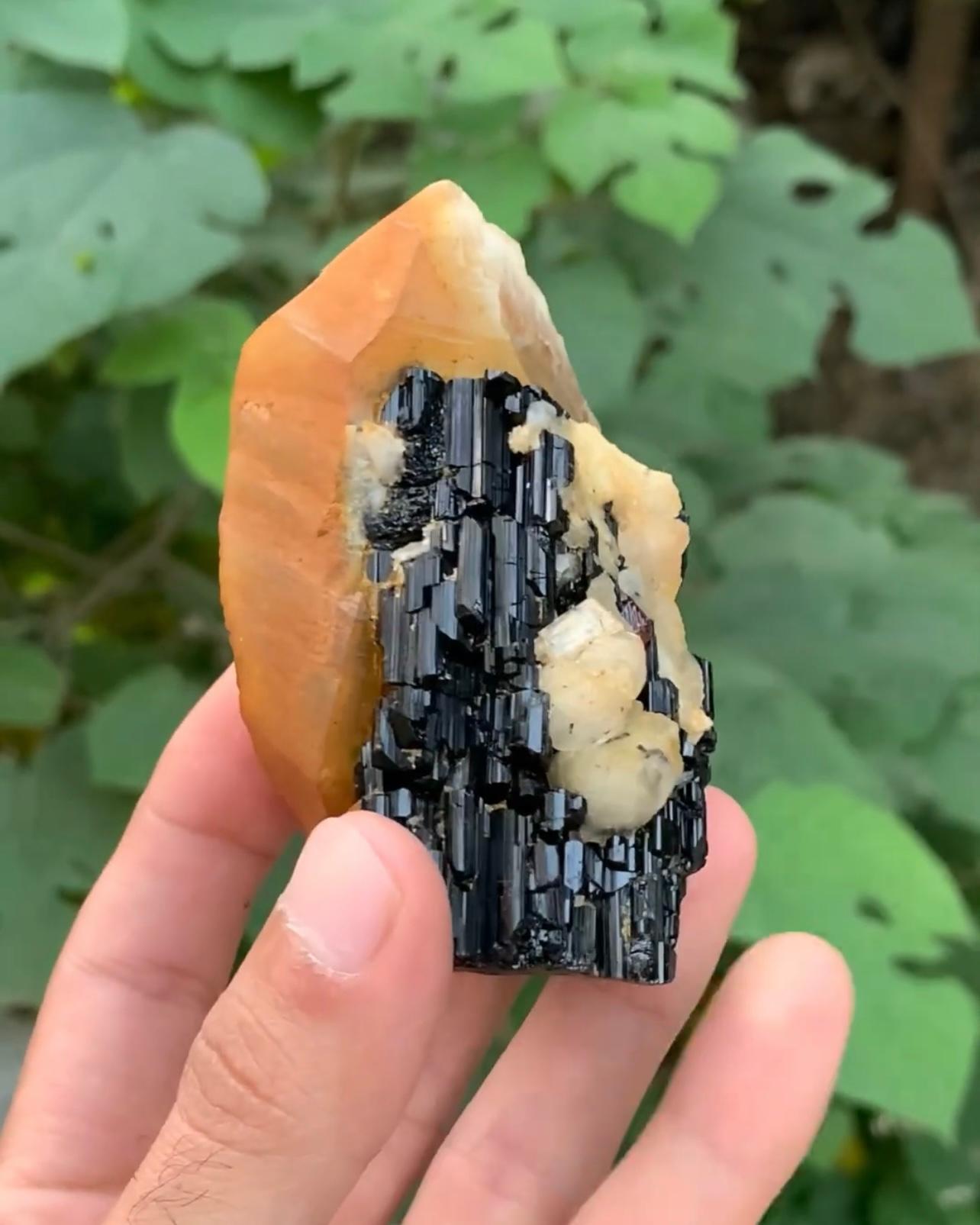 Other Combination Specimen Of Quartz On Schorl With Garnet Crystals From Pakistan For Sale