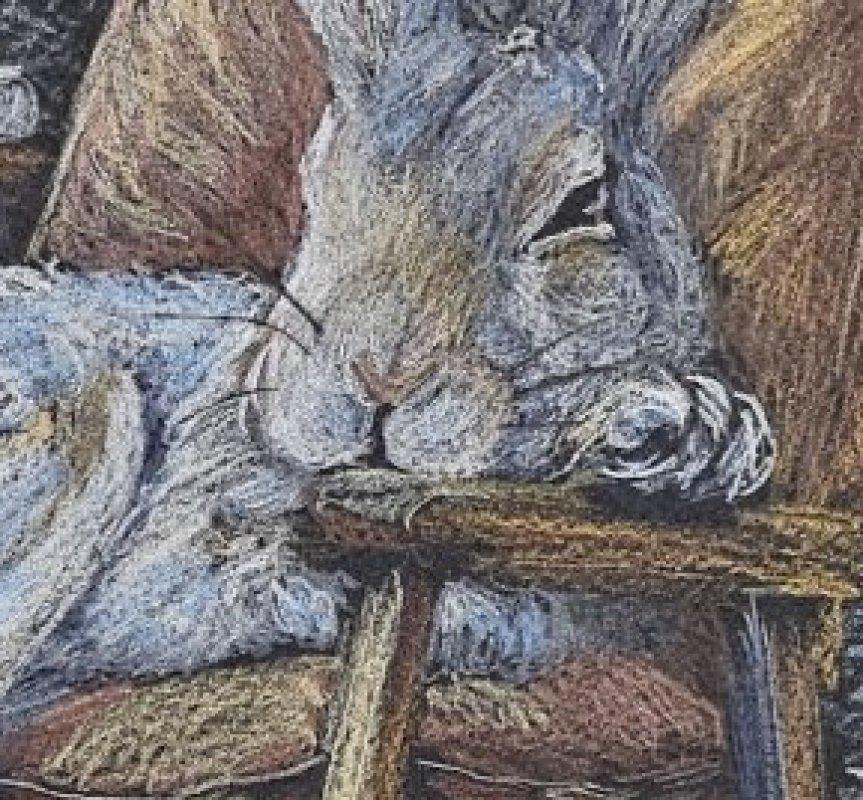 Other ART: Relaxing Hare Original Art Watercolor For Sale