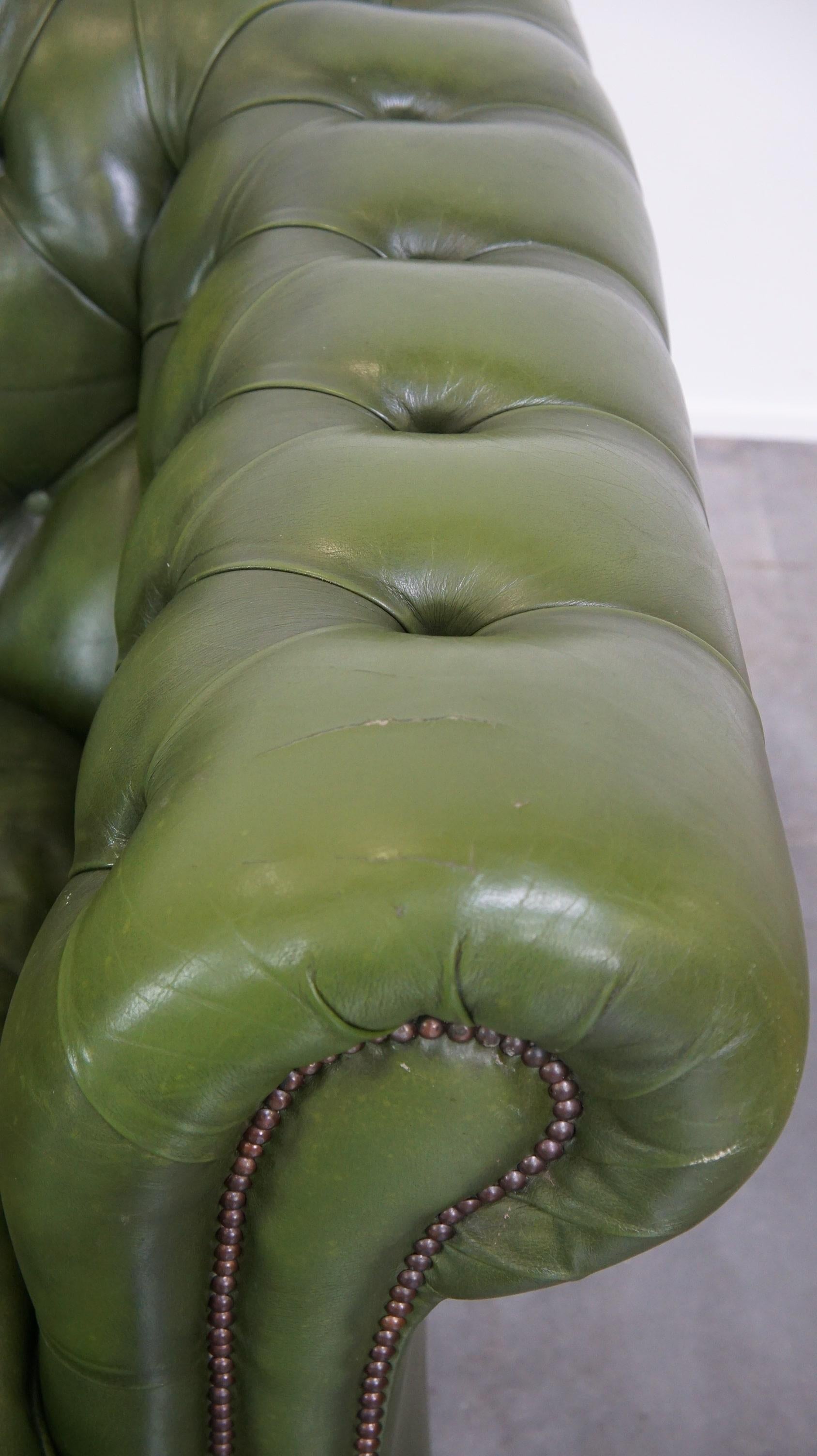 Comfortable, green, cowhide leather spacious 3-seater English Chesterfield sofa 5