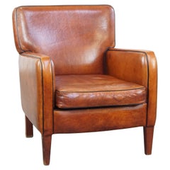 Fauteuil confortable en cuir de mouton avec une belle finition et des couleurs étonnantes