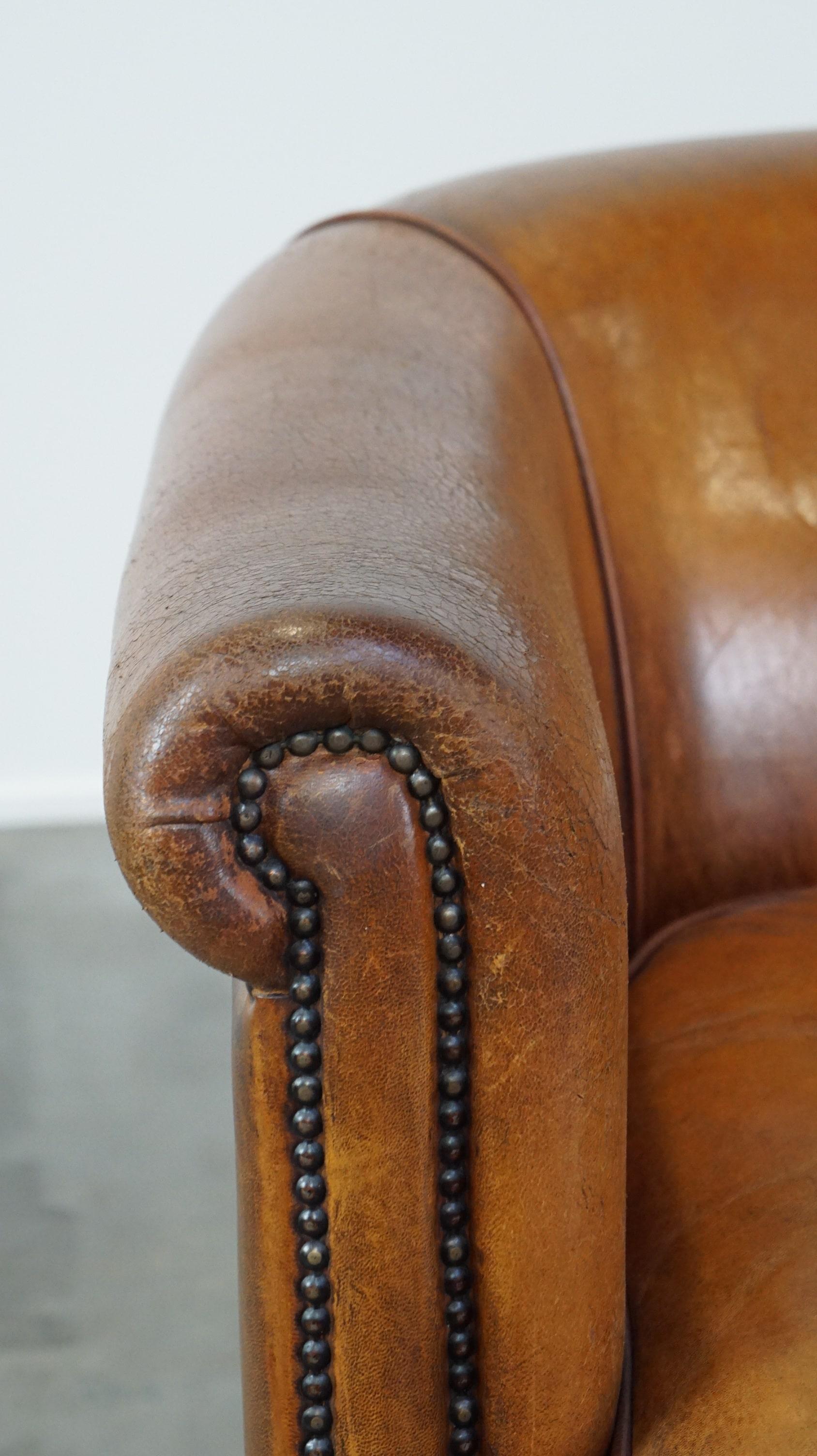 Comfortable sheepskin leather 2.5 seater club sofa 5