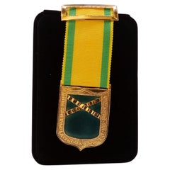 Commemorative medal awarded to those wounded in the war for the Fatherland Spain