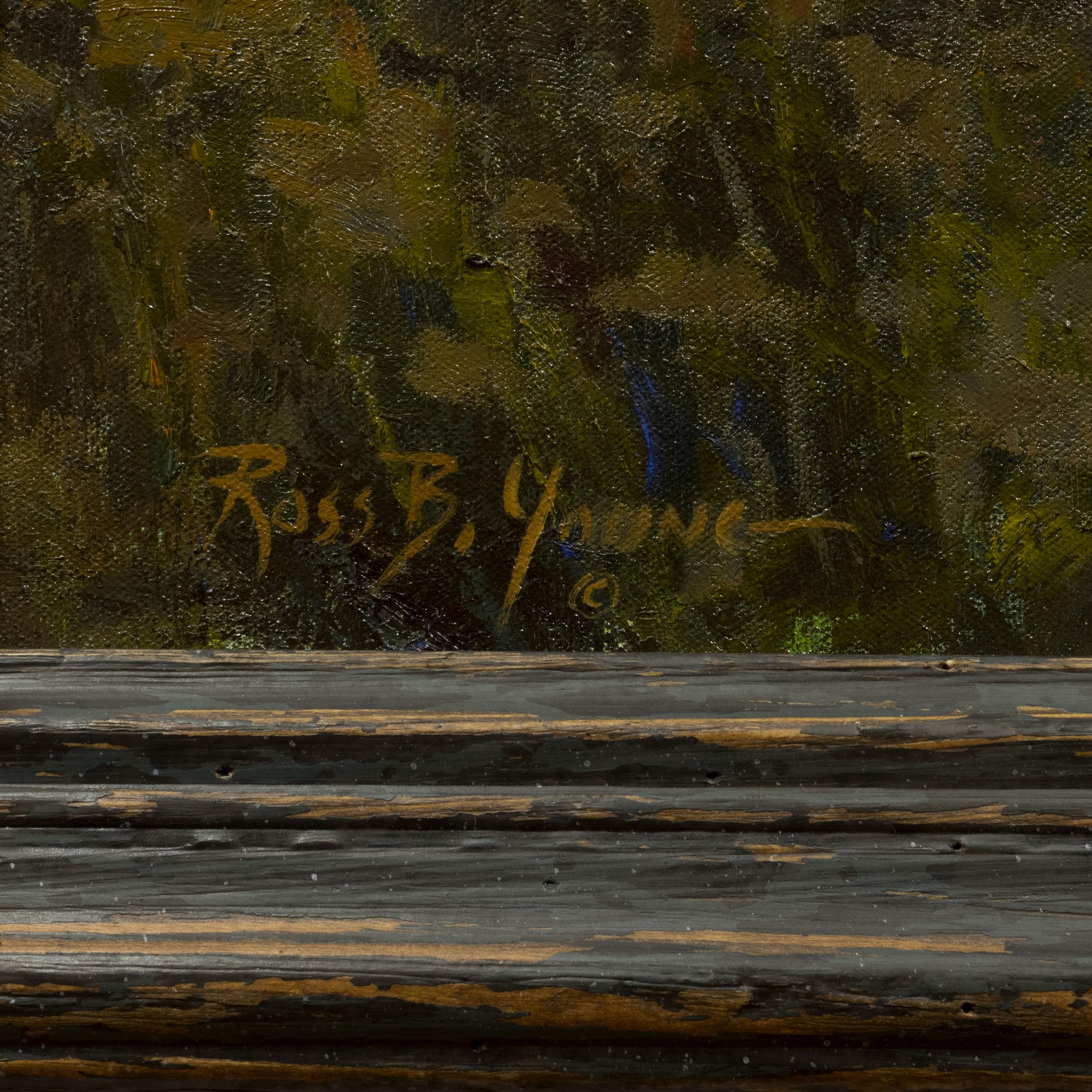 Oil on canvas; 24” x 16”. Mallard coming into the “dees” ready with his black lab watching. The art of Ross Young has been described as painterly and forthright, a true expression of the places and sports he knows so well. The oil paintings he