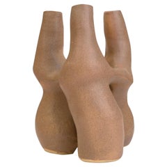 Common Embrace Vase by Camila Apaez