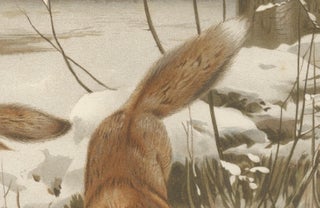 Common Fox in Winter Landscape, Antique Animal Chromolithograph, 1894, view 4