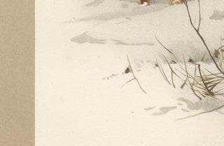 Common Fox in Winter Landscape, Antique Animal Chromolithograph, 1894, view 5