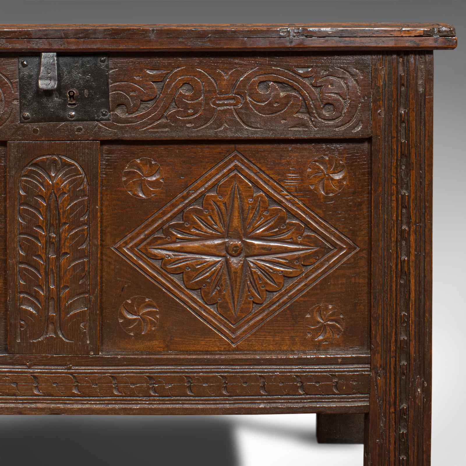 Compact Antique Coffer, English, Oak, Chest, Trunk, Early Georgian, circa 1720 6