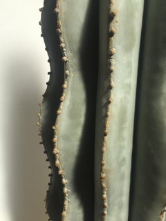 Companion 'Cactus' Sculptures, Contemporary