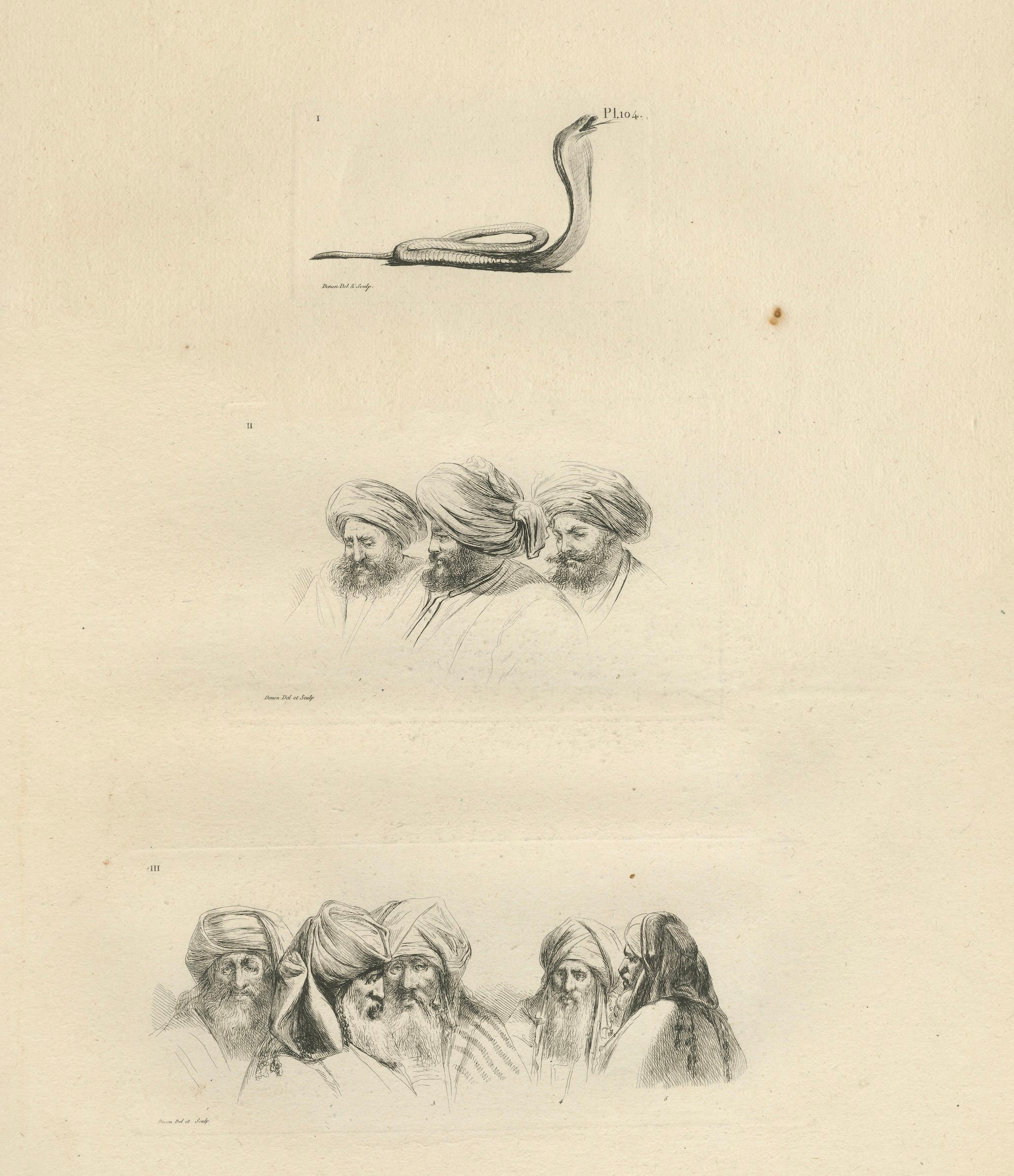 Comparative Head Studies and Cobra, Egypt, Antique Engraving, c.1802