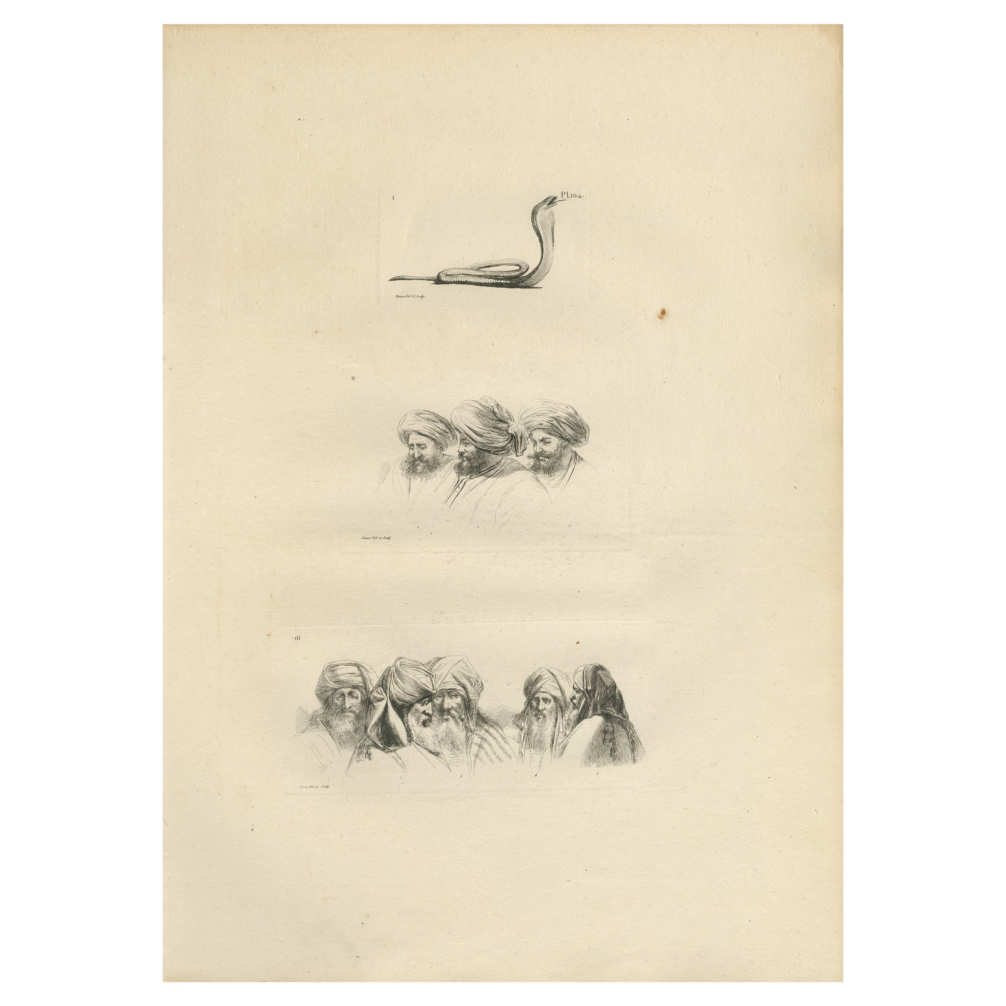 Comparative Head Studies and Cobra, Egypt, Antique Engraving, c.1802