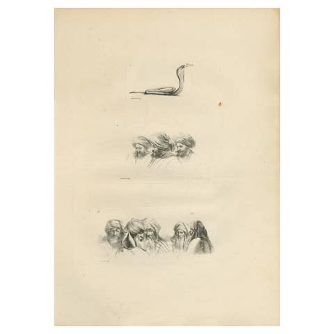Comparative Head Studies and Cobra, Egypt, Antique Engraving, c.1802
