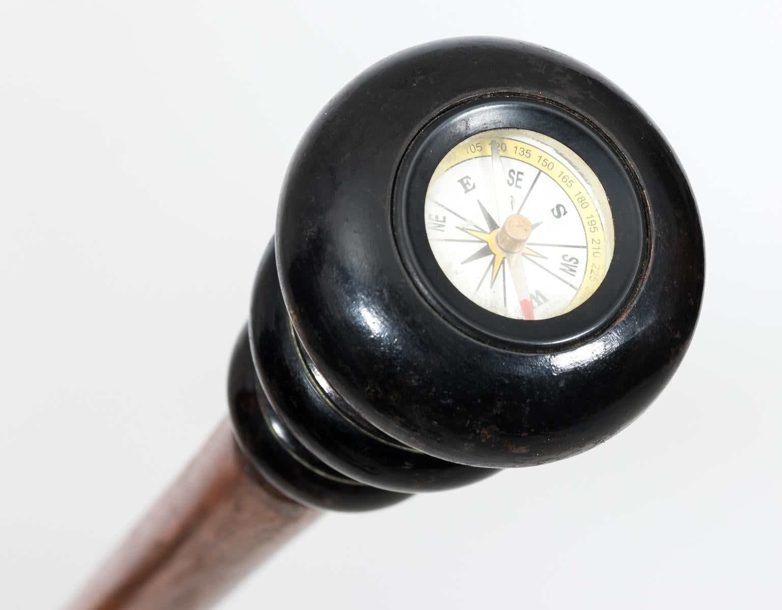Compass Cane, circa 1950s In Good Condition In Stamford, CT