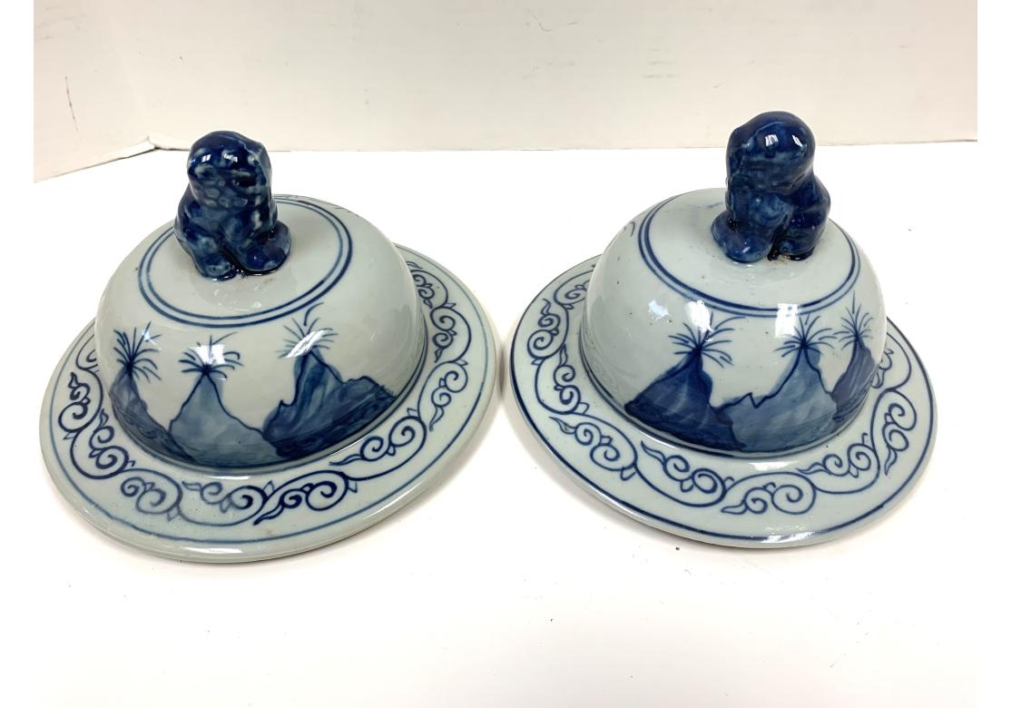 Hand-Painted Compatible Pair Of Large Chinese Blue And White Porcelain Ginger Jars With Birds