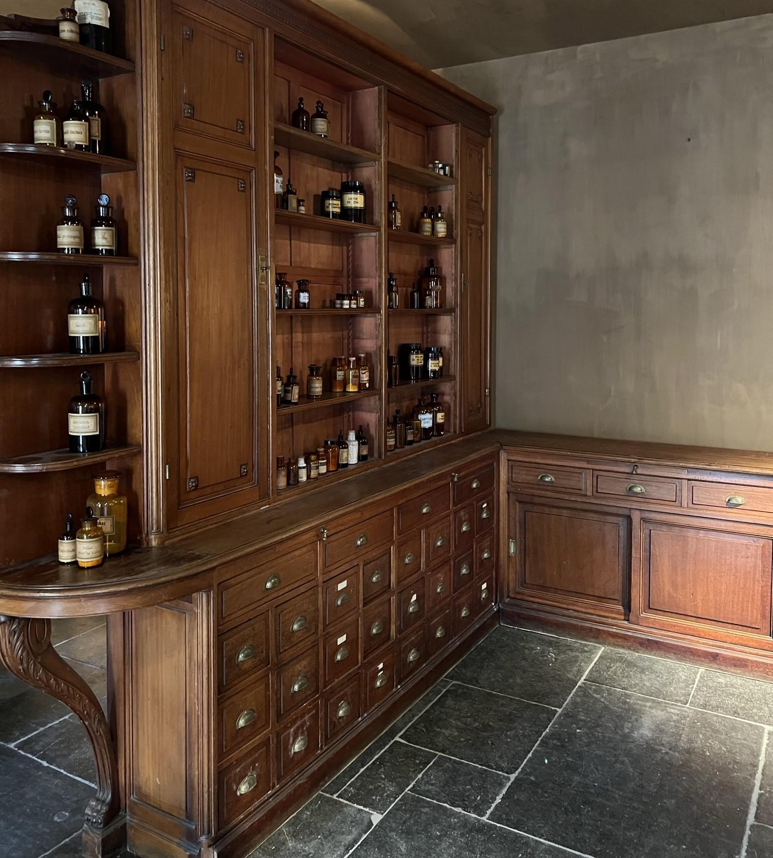 Complete 19th Century Pharmacy Shop Library Bookcases For Sale 3
