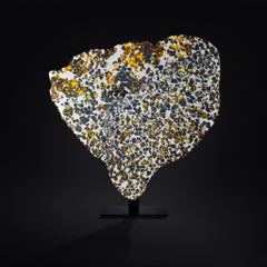 Vollständiger Querschnitt des Seymchan-Meteoriten mit Peridot-Edelsteinen