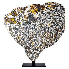 Vollständiger Querschnitt des Seymchan-Meteoriten mit Peridot-Edelsteinen