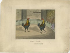 Complete Series: Six Old Cockfight Etchings, London 1830