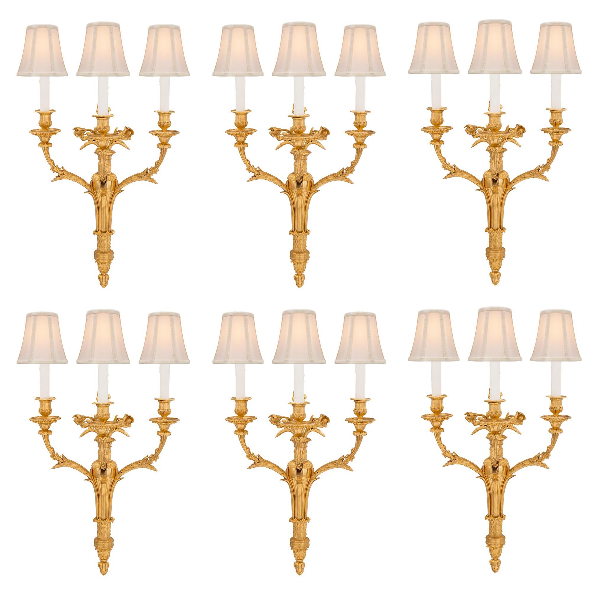 Complete Set of Six French 19th Century Louis XVI St. Ormolu Sconces For Sale