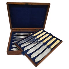 Complete Set of Twelve Victorian Fish Knives in Original English Case, 19th Cent
