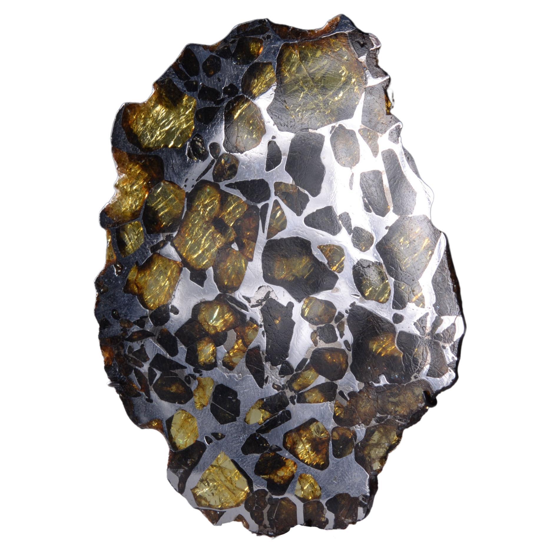 Une tranche complète de météorite Imilac