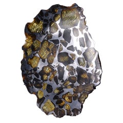 Antique Complete Slice of Imilac Meteorite