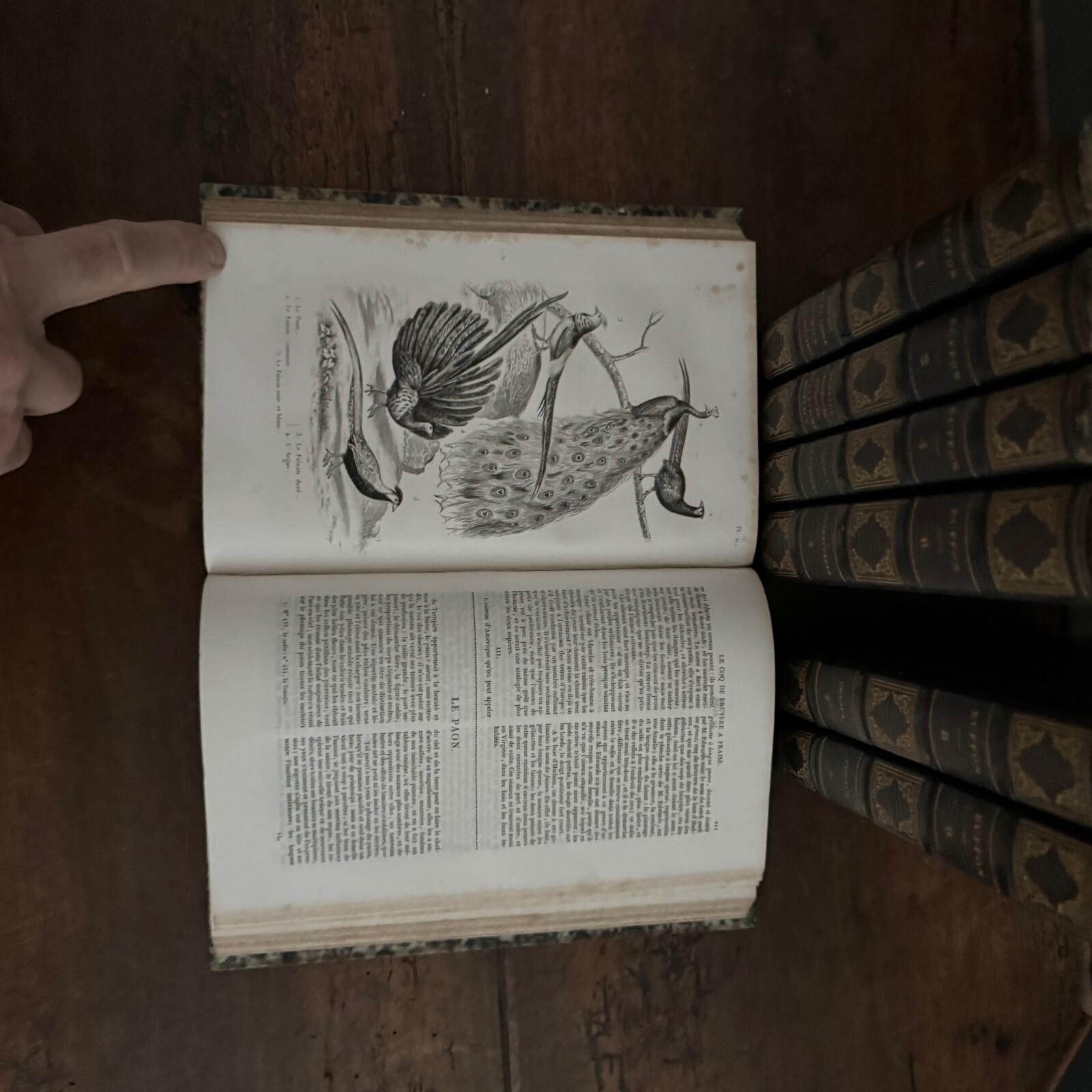 Buffon Writer Complete Works of Buffon with Supplements, 7 volumes with engravings ...