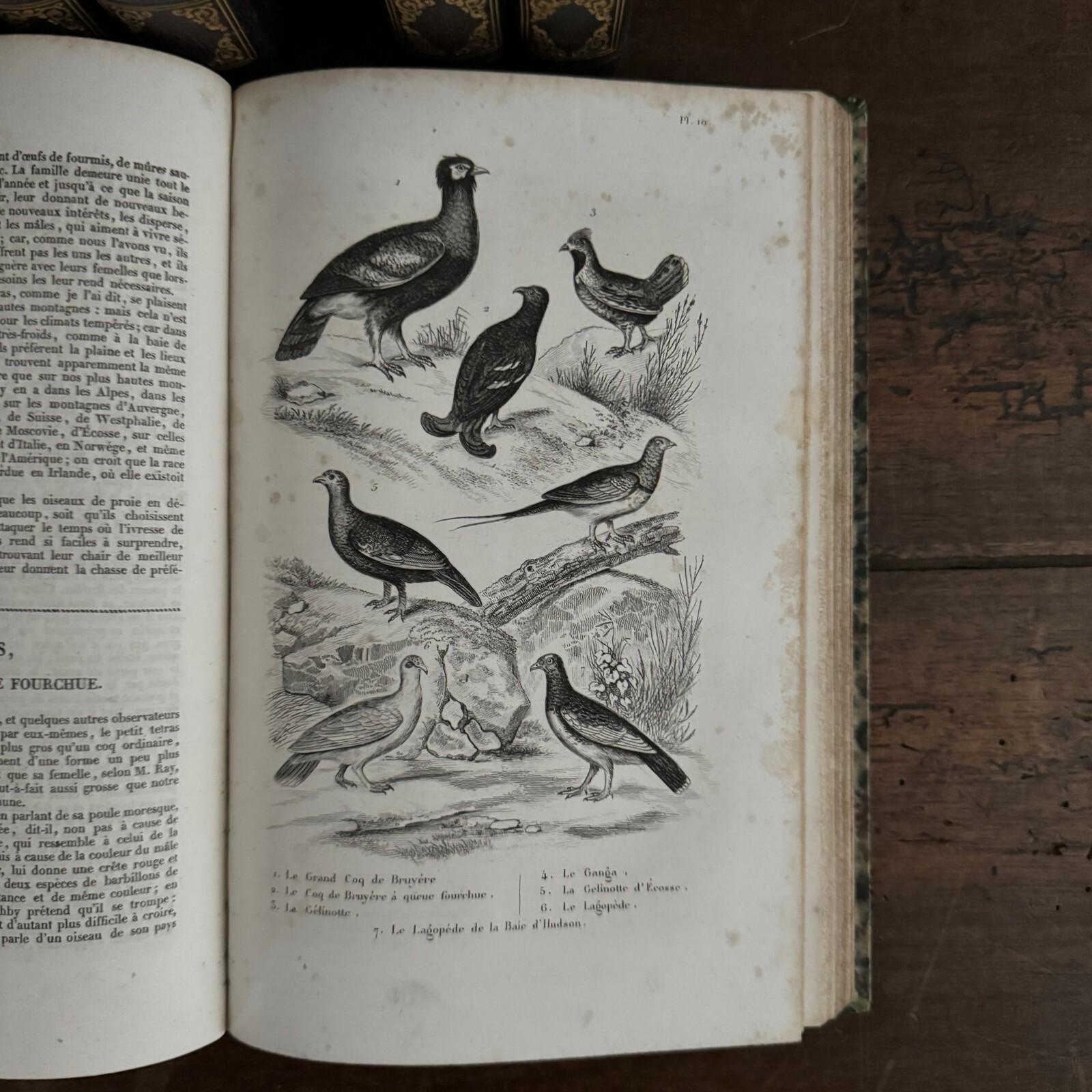 Buffon Writer Complete Works of Buffon with Supplements, 7 volumes with engravings ...
