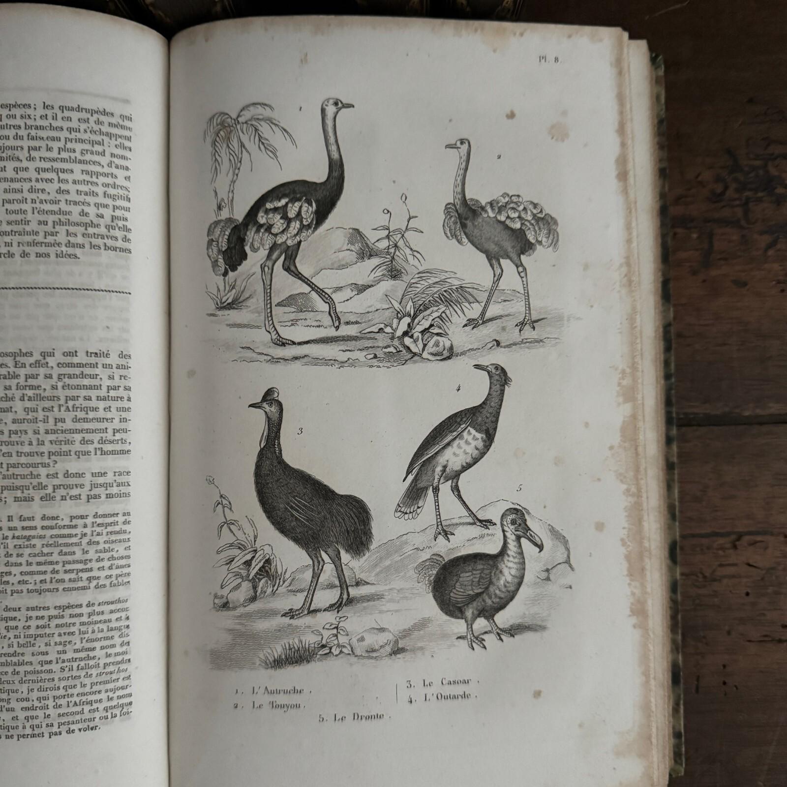 Buffon Writer Complete Works of Buffon with Supplements, 7 volumes with engravings ...