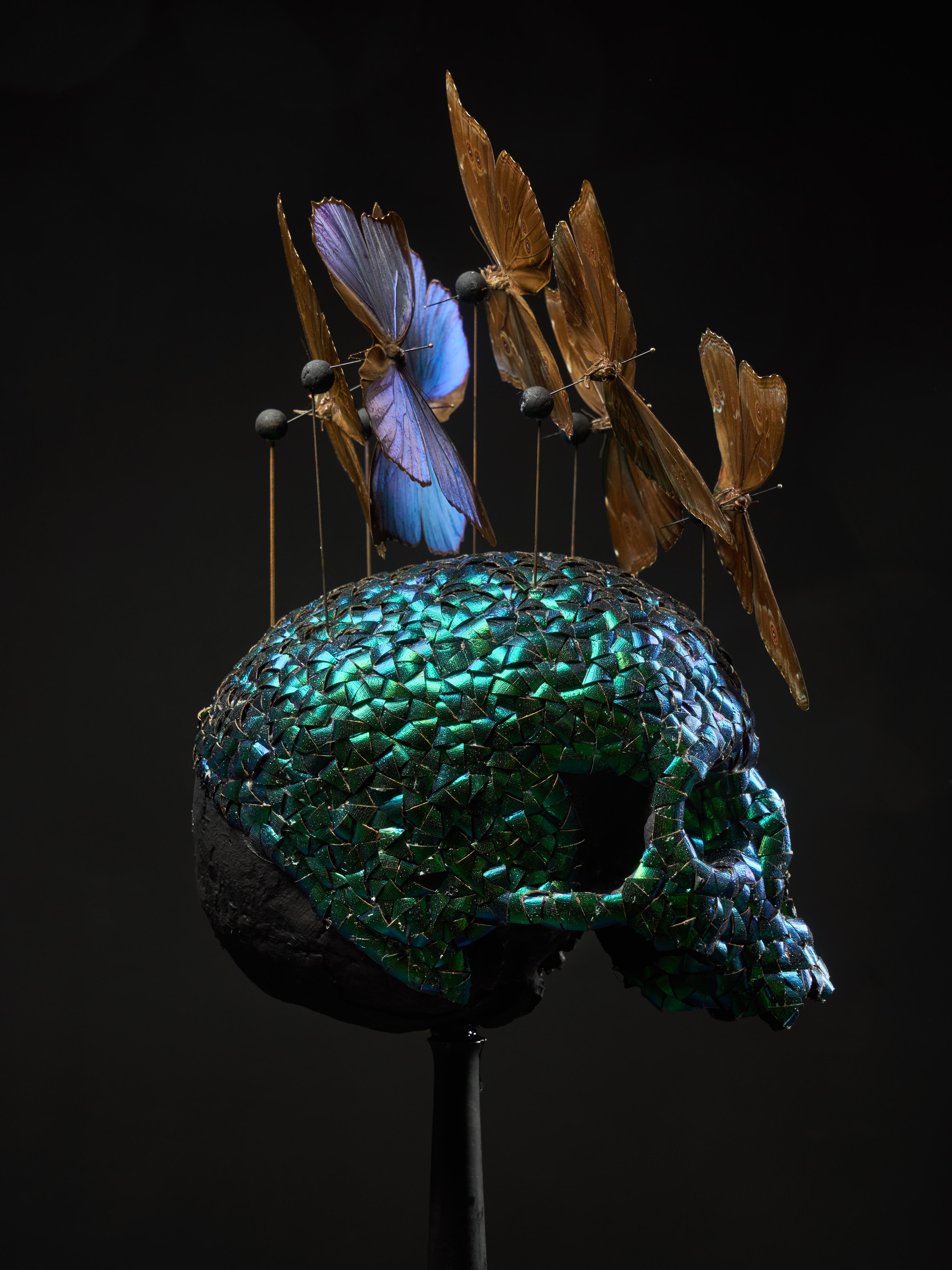 Composition of a Plaster Skull Decorated with Butterflies 6