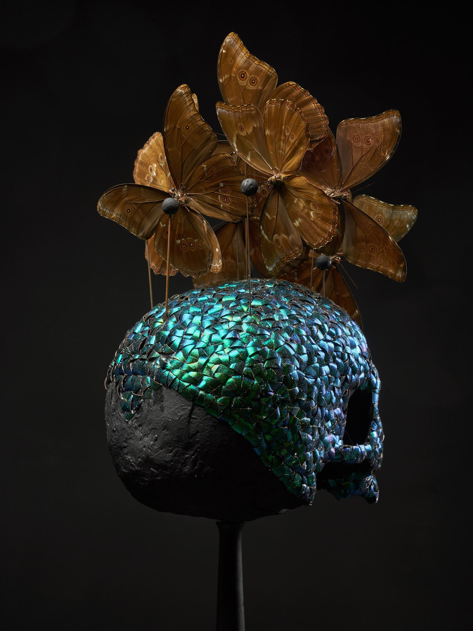 Composition of a Plaster Skull Decorated with Butterflies 6