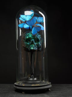 Composition of a Plaster Skull Decorated with Butterflies