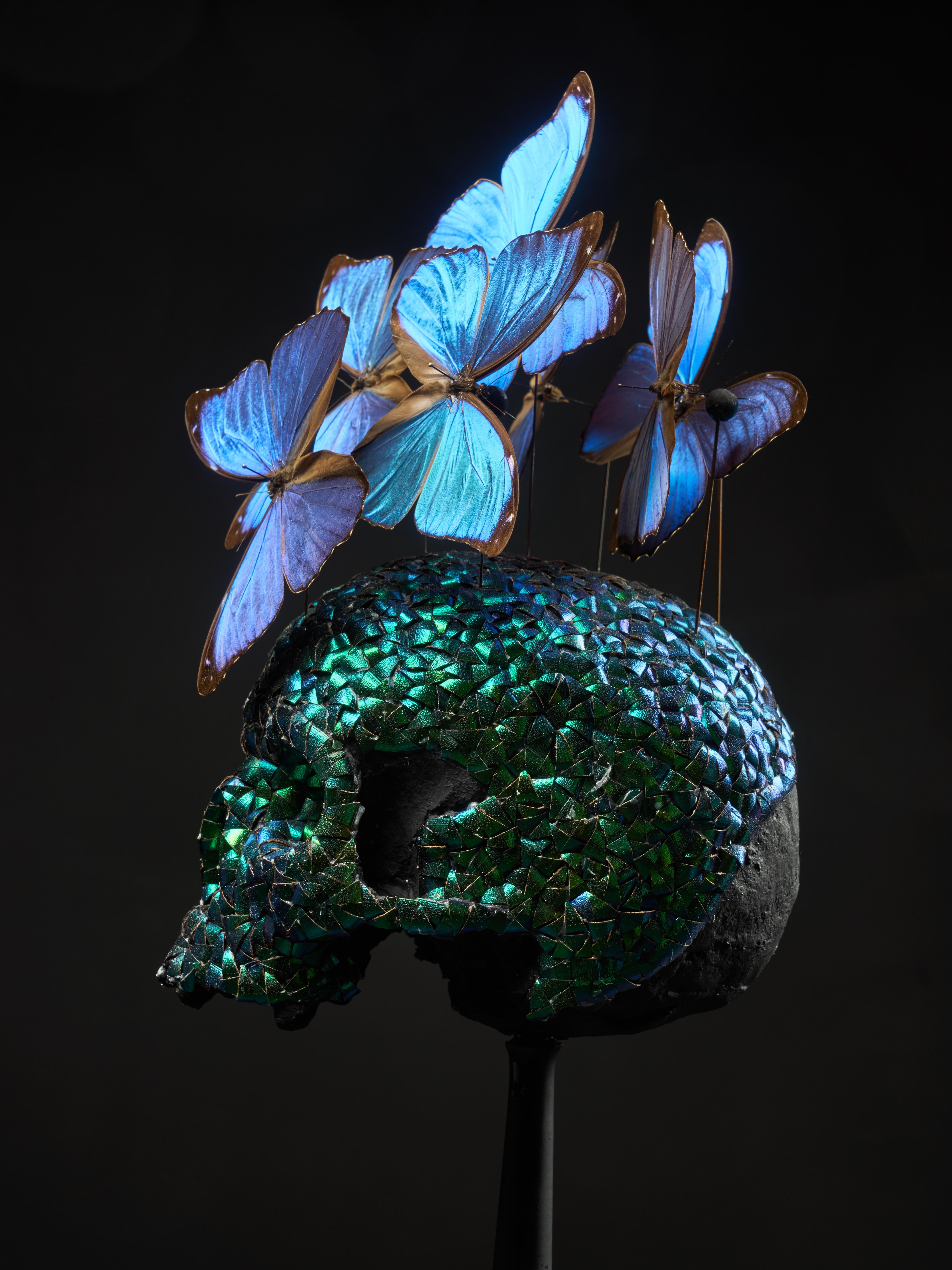 Composition of a Plaster Skull Decorated with Butterflies 2