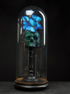 Composition of Plaster Skull Decorated with Beetles and Butterflies
