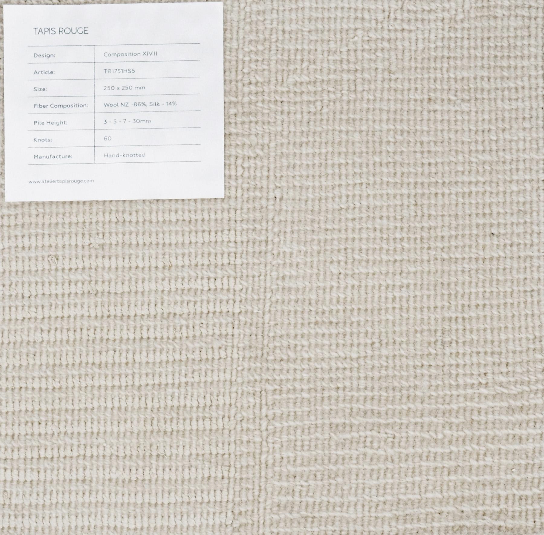 Composition XIV.II - Light Beige Hand Knotted Wool Silk Rug For Sale 9