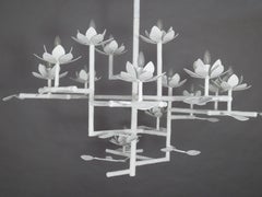 Compressed Small Lotus