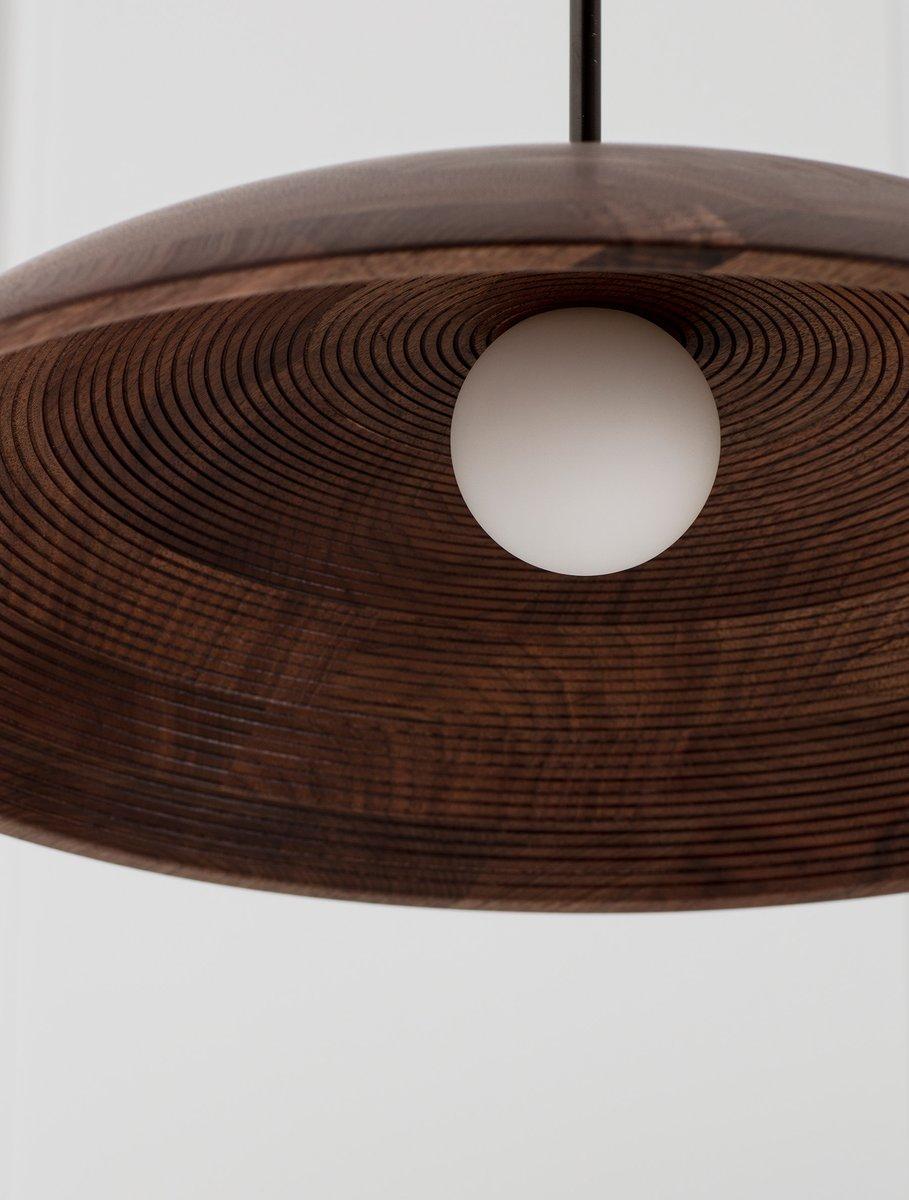 Concentric lines ripple underneath a turned wood dome; reinforcing the pendant's form and beauty of it's material.